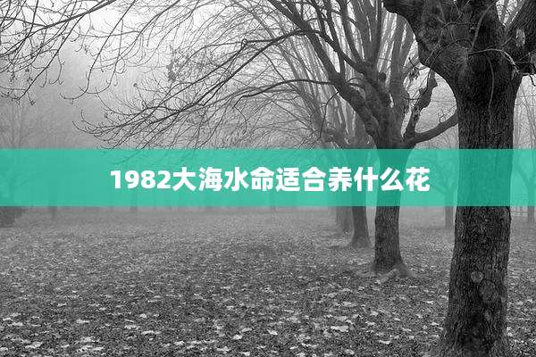 1982大海水命适合养什么花