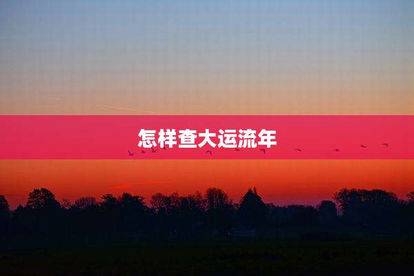 怎样查大运流年