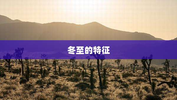 冬至的特征