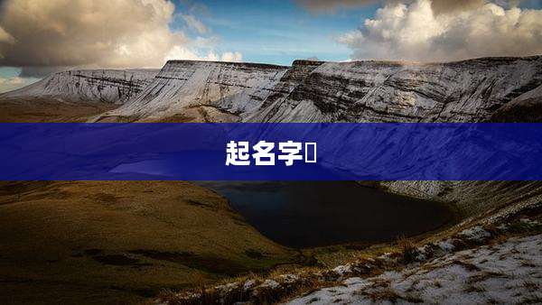 起名字曌