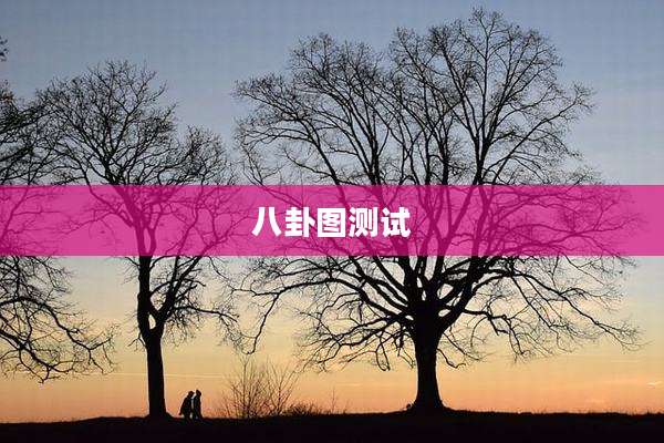 八卦图测试