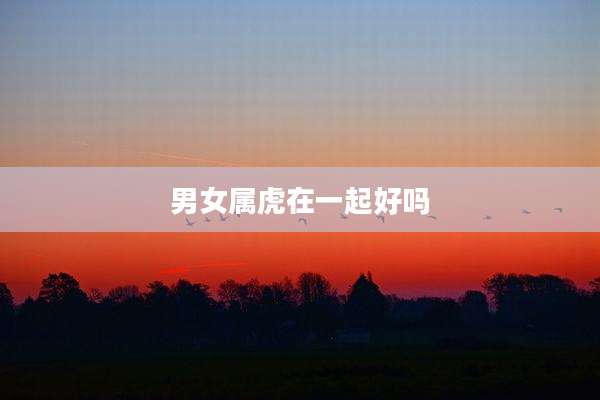 男女属虎在一起好吗