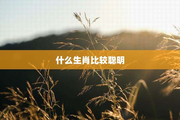 什么生肖比较聪明