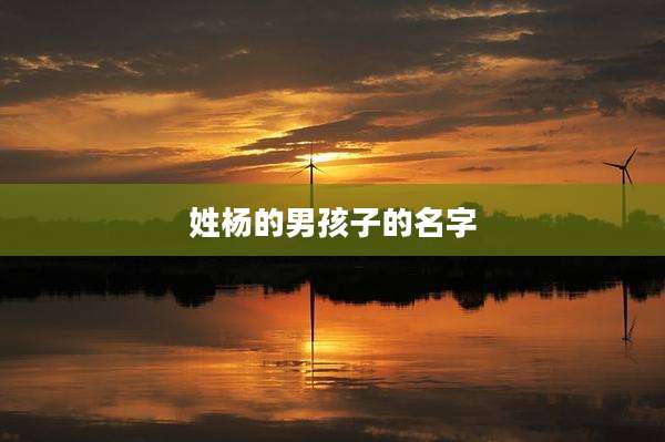 姓杨的男孩子的名字