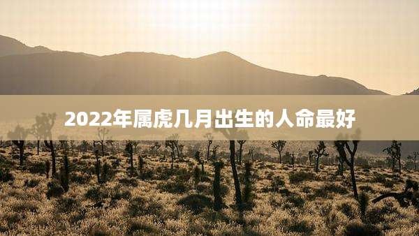 2022年属虎几月出生的人命最好