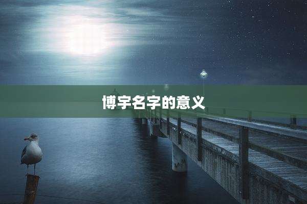 博宇名字的意义