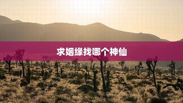求姻缘找哪个神仙