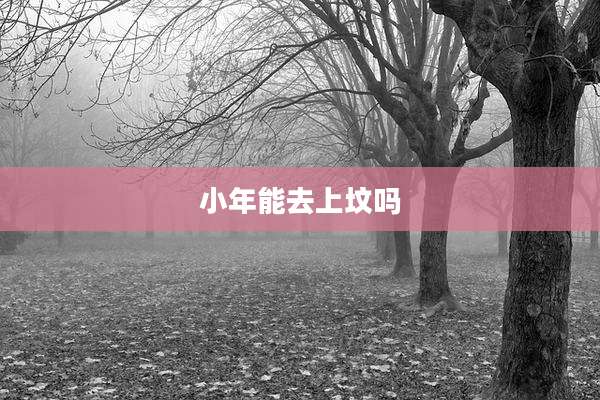 小年能去上坟吗