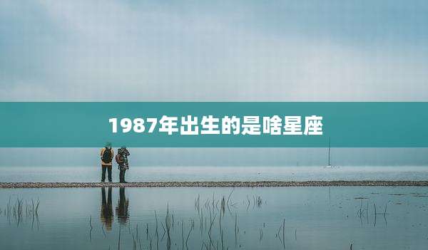 1987年出生的是啥星座