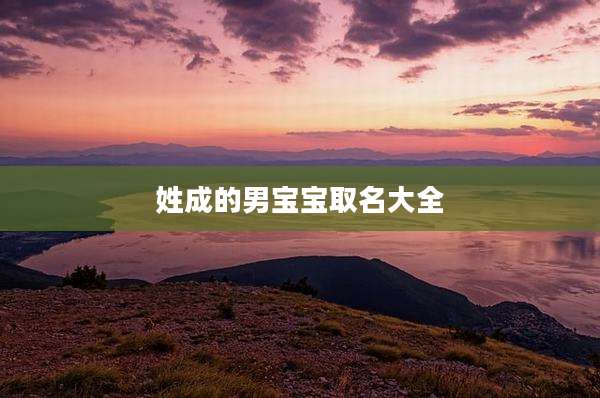 姓成的男宝宝取名大全