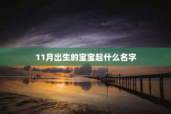 11月出生的宝宝起什么名字