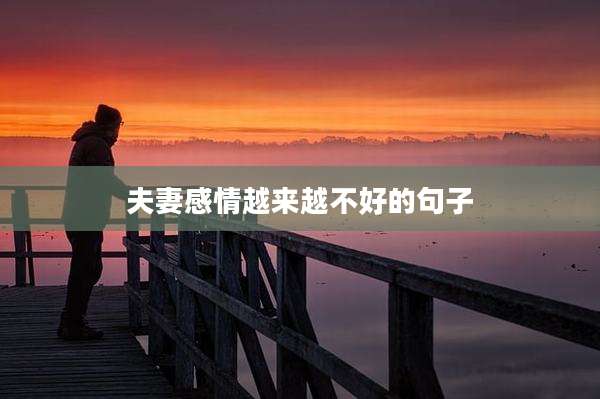 夫妻感情越来越不好的句子