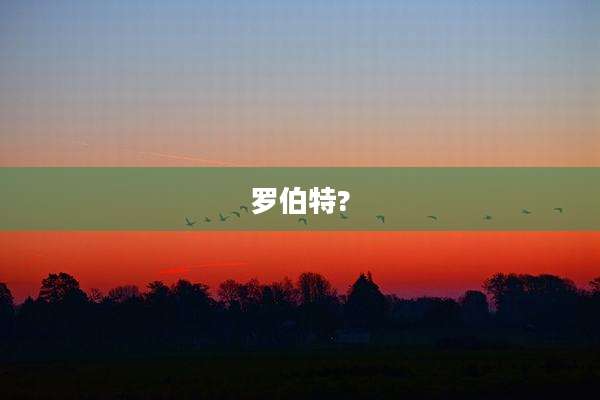 罗伯特?