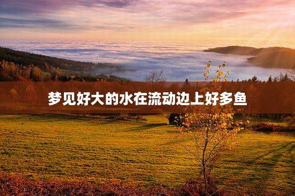 梦见好大的水在流动边上好多鱼