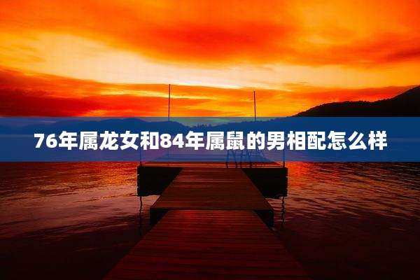 76年属龙女和84年属鼠的男相配怎么样