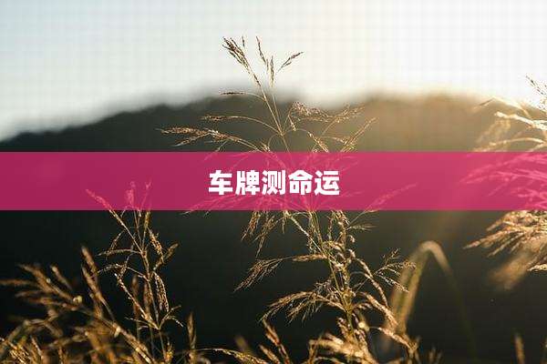 车牌测命运