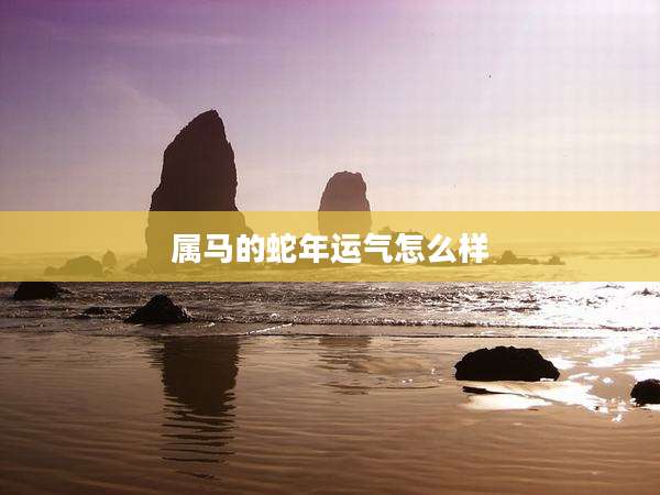 属马的蛇年运气怎么样