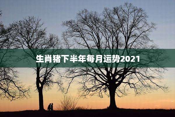 生肖猪下半年每月运势2021