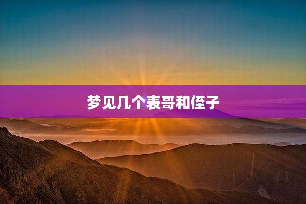 梦见几个表哥和侄子