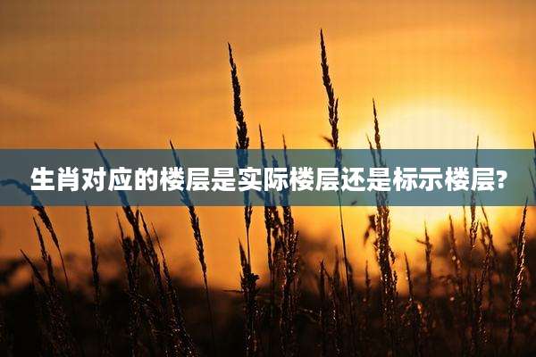 生肖对应的楼层是实际楼层还是标示楼层?