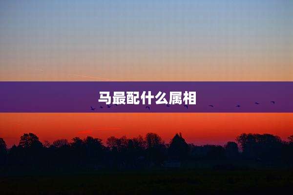 马最配什么属相