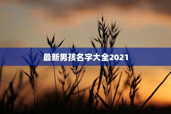 最新男孩名字大全2021