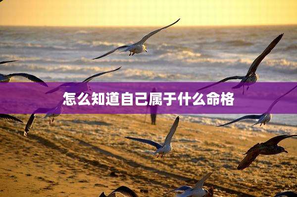 怎么知道自己属于什么命格