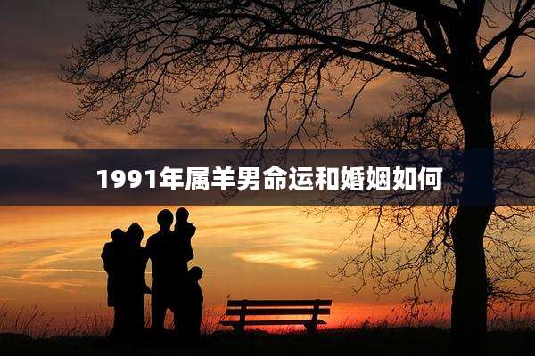 1991年属羊男命运和婚姻如何
