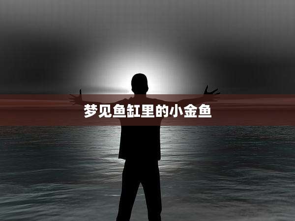 梦见鱼缸里的小金鱼