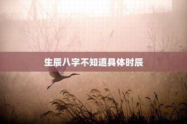生辰八字不知道具体时辰