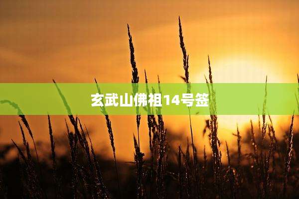 玄武山佛祖14号签