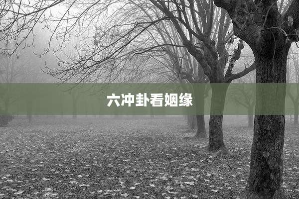 六冲卦看姻缘