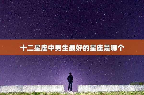 十二星座中男生最好的星座是哪个