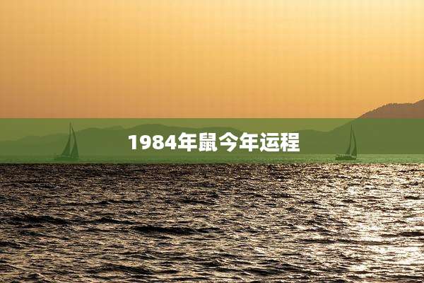 1984年鼠今年运程