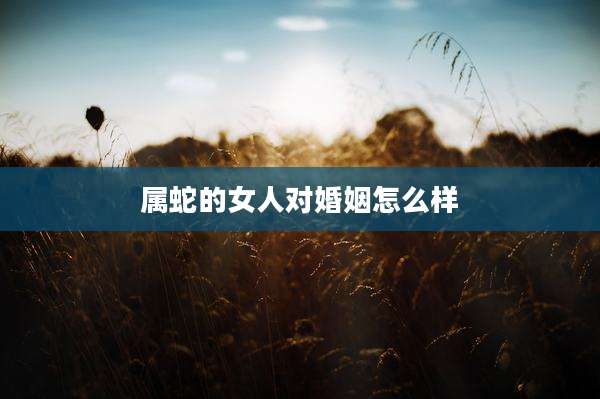 属蛇的女人对婚姻怎么样