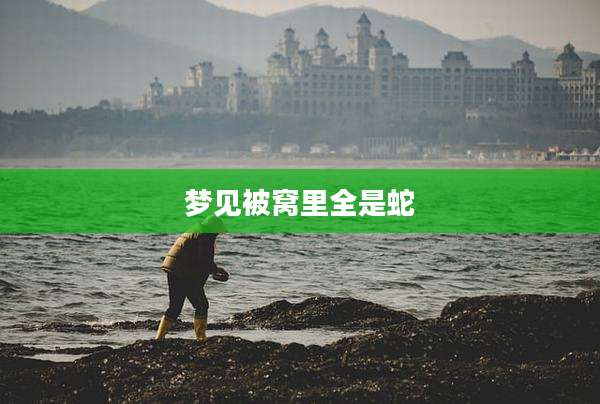 梦见被窝里全是蛇