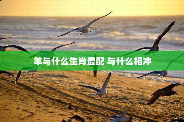 羊与什么生肖最配 与什么相冲