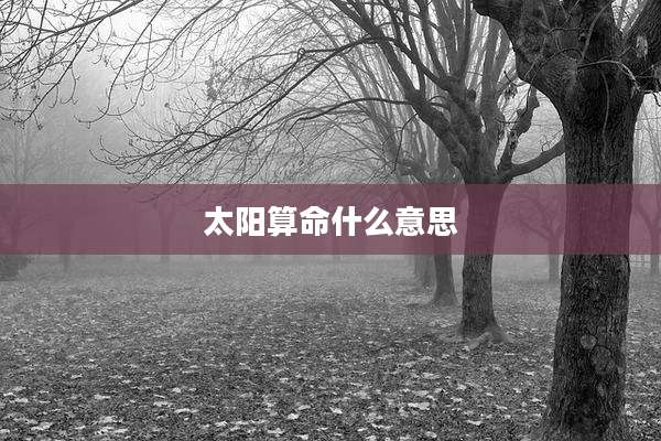 太阳算命什么意思