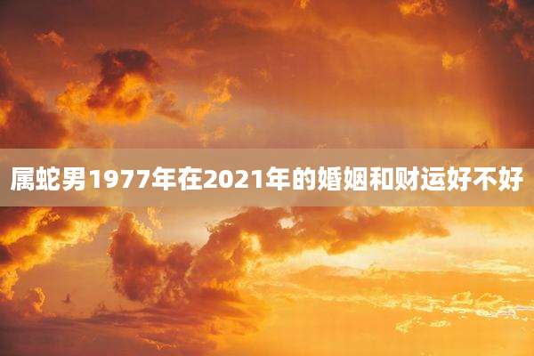 属蛇男1977年在2021年的婚姻和财运好不好