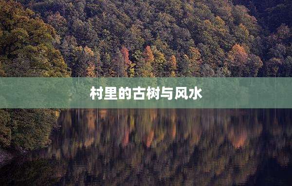 村里的古树与风水