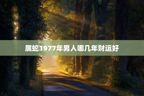 属蛇1977年男人哪几年财运好