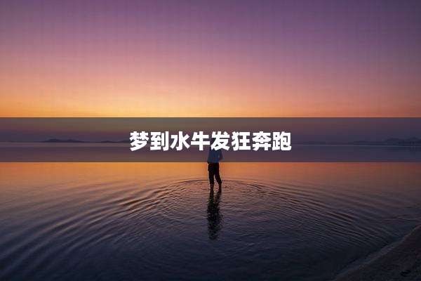 梦到水牛发狂奔跑