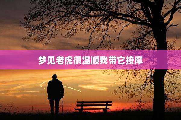 梦见老虎很温顺我带它按摩