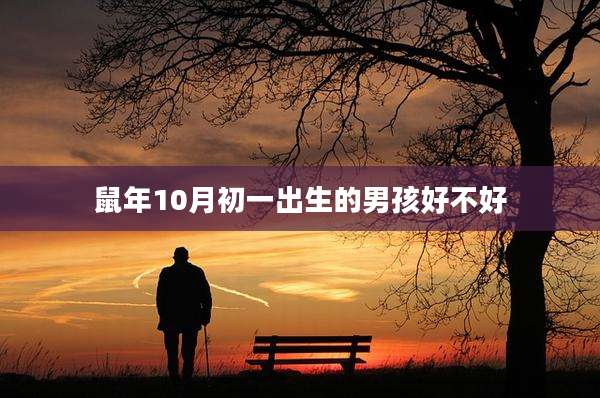 鼠年10月初一出生的男孩好不好