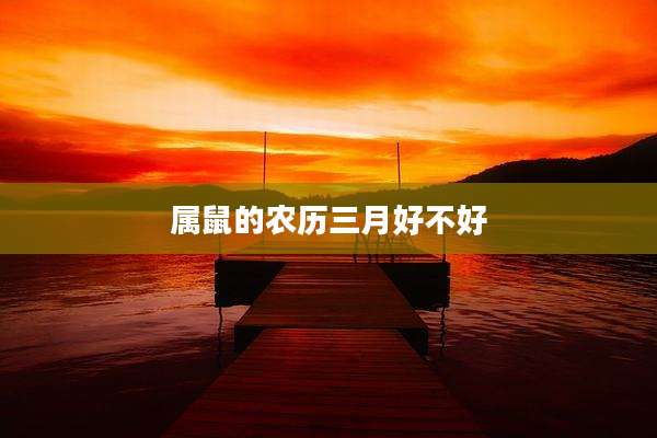 属鼠的农历三月好不好