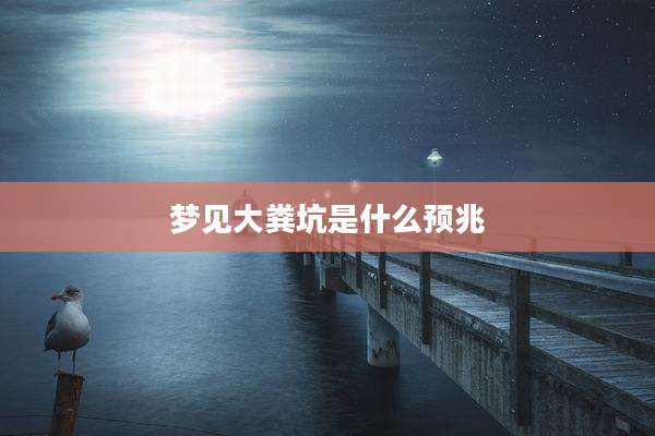 梦见大粪坑是什么预兆