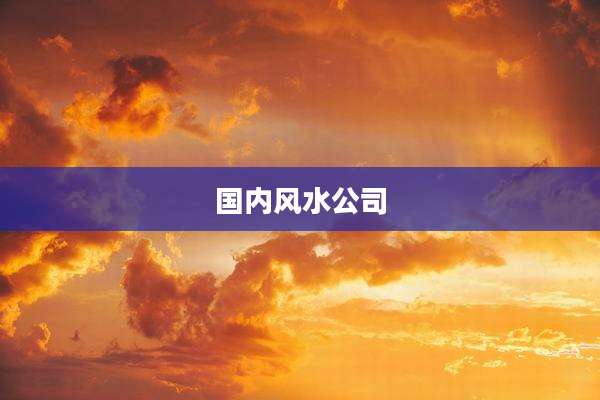 国内风水公司