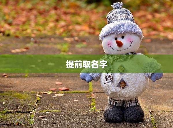 提前取名字
