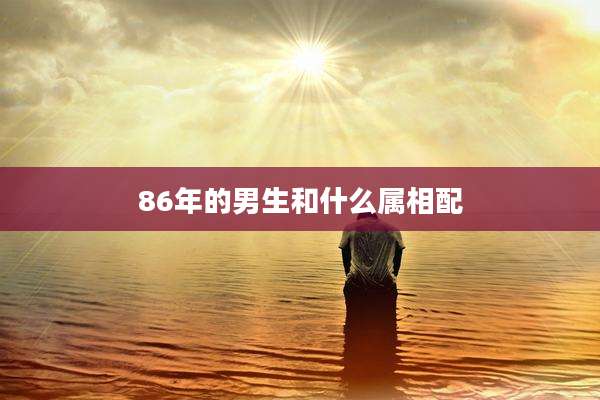 86年的男生和什么属相配