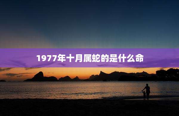 1977年十月属蛇的是什么命